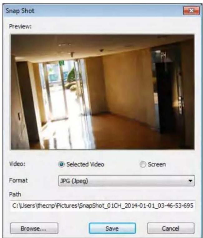 Snap Shot Preview: Video: Selected Video Screen Format JPG (Jpeg) Path C:\Users\thecnp\Pictures\SnapShot_01CH_2014-01-01_03-46-53-695 Browse... Save Cancel