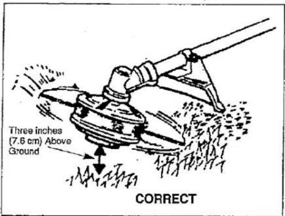 Three inches (7.6 cm) Above Ground CORRECT