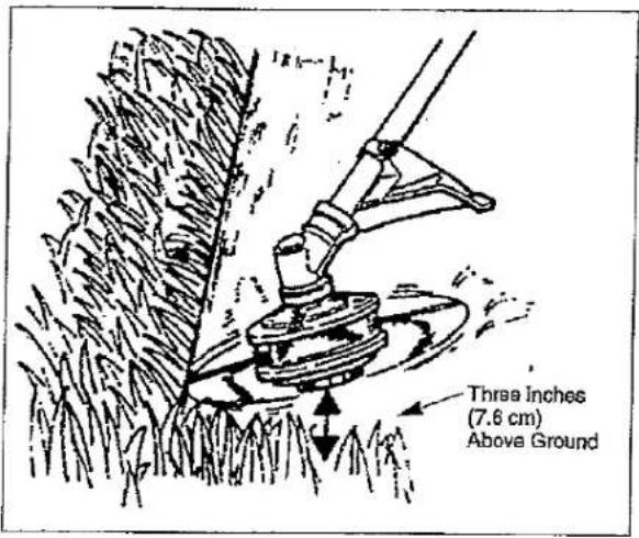 Three Inches (7.6 cm) Above Ground