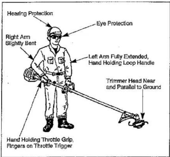 Hearing Protection Eye Protection Right Arm Slightly Bent Left Arm Fully Extended, Hand Holding Loop Handle Trimmer Head Near and Parallel to Ground Hand Holding Throttle Grip, Fingers on Throttle Trigger