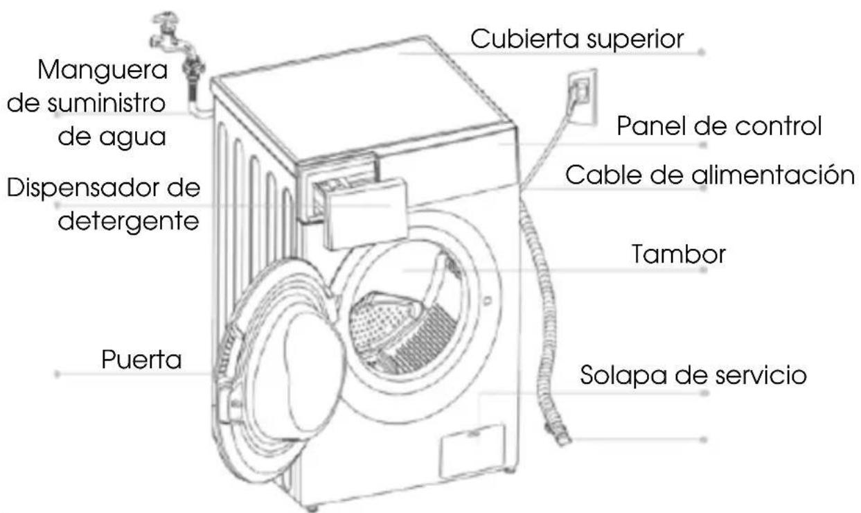 Manguera de suministro de agua Dispensador de detergente Puerta Cubierta superior Panel de control Cable de alimentación Tambor Solapa de servicio