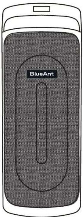 BlueAnt