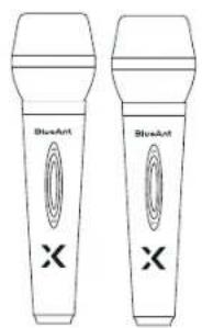 BlueArt X BlueArt X