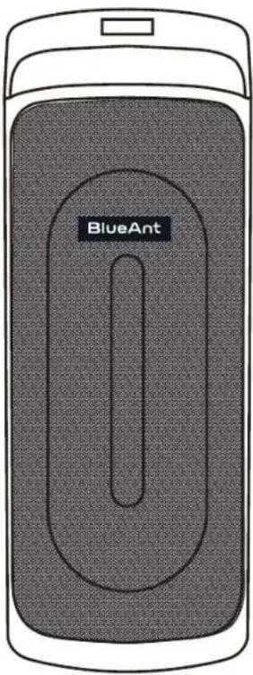 BlueAnt