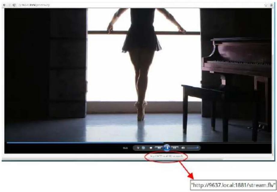http://9637.local:1881/stream.flv" http://9637.local/1881/stream.flv"