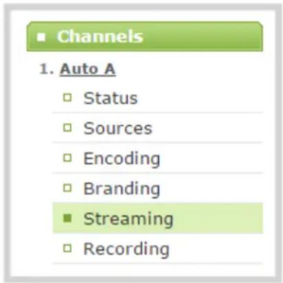 ■ Channels 1. Auto A □ Status □ Sources □ Encoding □ Branding ■ Streaming □ Recording