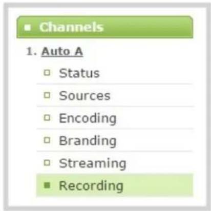 Channels 1. Auto A □ Status □ Sources □ Encoding □ Branding □ Streaming ■ Recording