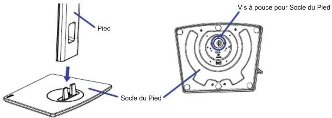 Pied Vis à pouce pour Socle du Pied Socle du Pied