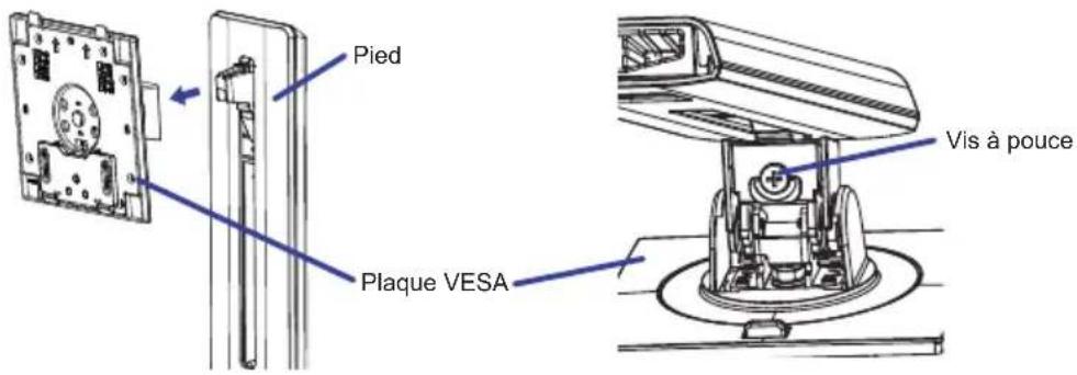 Pied Plaque VESA Vis à pouce