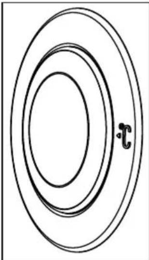 Simple concentric oval diagram with a small letter 'r' in the center (no text or symbols beyond the label)
