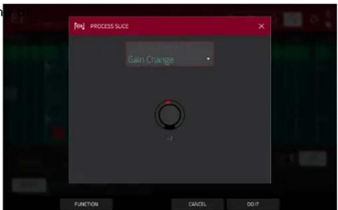 FIN PROCESS SLICE Gain Change FUNCTION CANCEL DO IT
