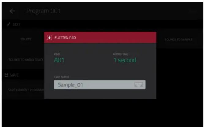 Program 001 EDIT DELETE BOUNCE TO AVOID TRACK SAVE SAVE CURRENT PROGRAM FLATTEN PAD PAD A01 AUDIO TAIL 1 second EDIT NAME Sample_01