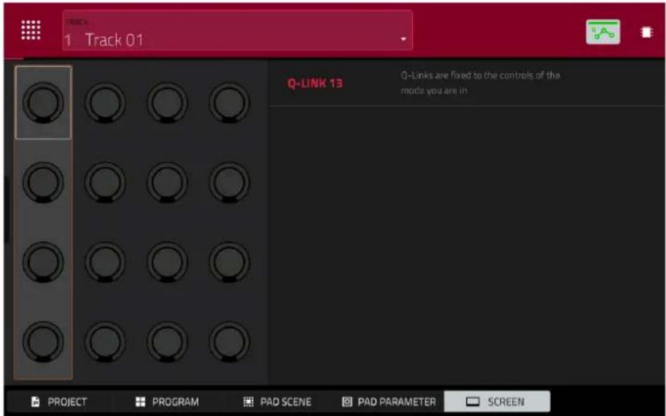 Track 1 Track 01 Q-LINK 13 Q-Links are fixed to the controls of the mode you are in PROJECT PROGRAM PAD SCENE PAD PARAMETER SCREEN