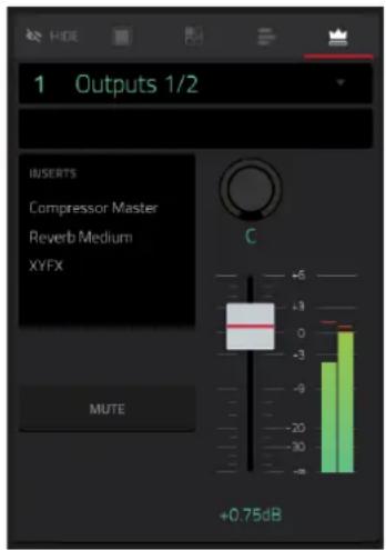 1 Outputs 1/2 INSERTS Compressor Master Reverb Medium XYFX MUTE C +0.75dB