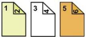 SHARP BP-50C45 - 1-sided copying of 1-sided originals - 64