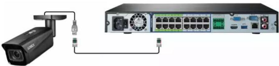Lorex N884A38B - Option 1 : Connexion directe au NVR - 1