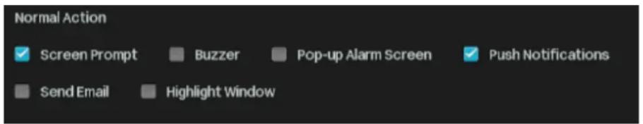 Normal Action ✓ Screen Prompt ■ Buzzer ■ Pop-up Alarm Screen ✓ Push Notifications ■ Send Email ■ Highlight Window