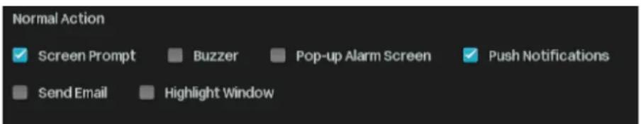 Normal Action ✓ Screen Prompt ■ Buzzer ■ Pop-up Alarm Screen ✓ Push Notifications ■ Send Email ■ Highlight Window