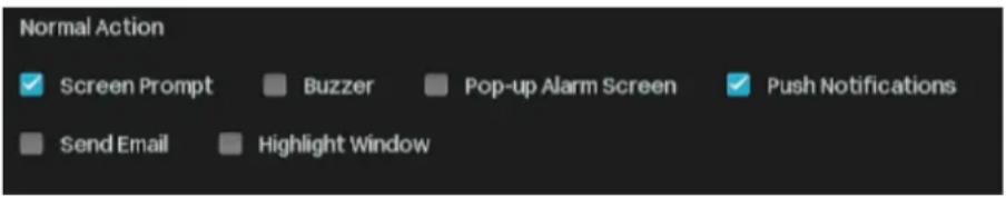 Normal Action ✓ Screen Prompt ■ Buzzer ■ Pop-up Alarm Screen ✓ Push Notifications ■ Send Email ■ Highlight Window