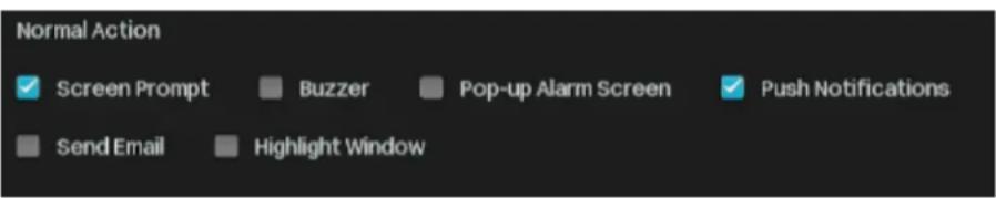 Normal Action ✓ Screen Prompt ■ Buzzer ■ Pop-up Alarm Screen ✓ Push Notifications ■ Send Email ■ Highlight Window