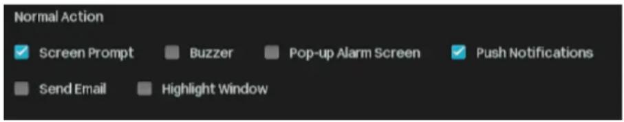 Normal Action ✓ Screen Prompt ■ Buzzer ■ Pop-up Alarm Screen ✓ Push Notifications ■ Send Email ■ Highlight Window