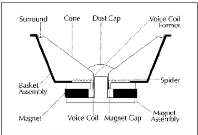 Surround Cone Dust Cap Voice Coil Former Basket Assembly Spider Magnet Voice Coil Magnet Gap Magnet Assembly