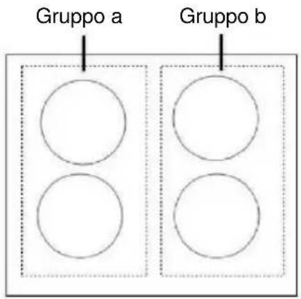 Gruppo a Gruppo b
