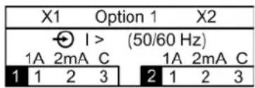 X1 Option 1 X2 I > (50/60 Hz) 1A 2mA C 1A 2mA C 1 1 2 3 2 1 2 3
