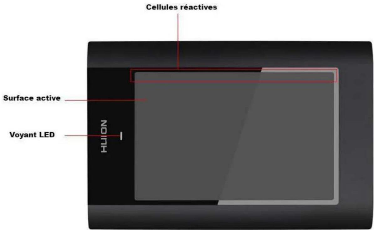 Cellules réactives Surface active Voyant LED NO TH