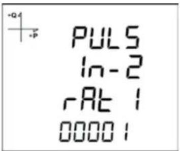 +Q4 +P PUL5 in-2 rAt 1 00001