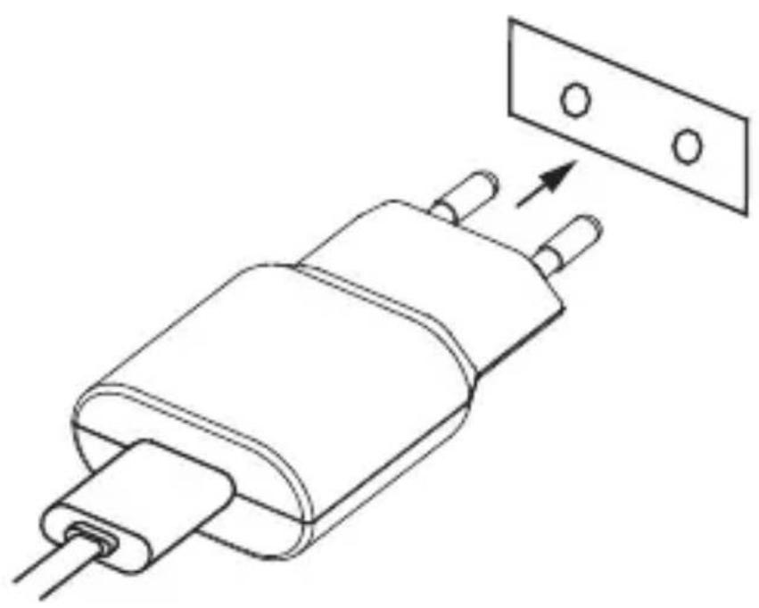 Technical line drawing of a mechanical component with two pins and a separate plate (no text or symbols)
