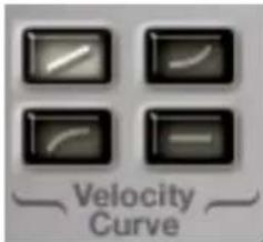 Velocity Curve