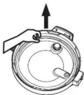 THOMSON TFPC607 - Remove and Install the Sealing Ring - 1