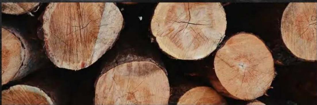TRAEGER Timberline XL - HOW OUR PELLETS ARE MADE - 1