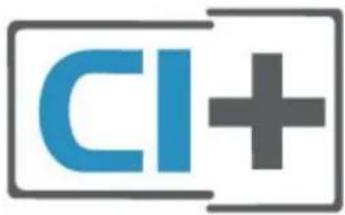 CI+