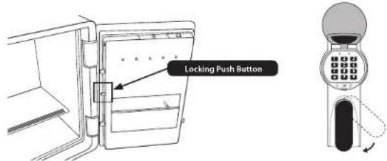 Locking Push Button