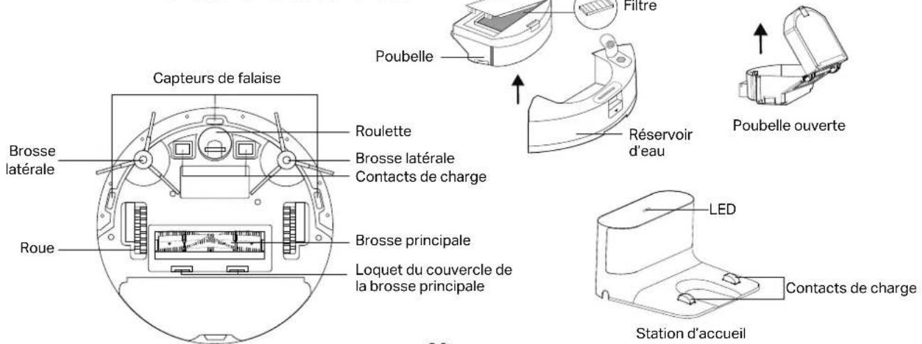Capteurs de falaise Brosse latérale Roue Roulette Brosse latérale Contacts de charge Brosse principale Loquet du couvercle de la brosse principale Poubelle Filtre Réservoir d'eau Poubelle ouverte LED Contacts de charge Station d'accueil