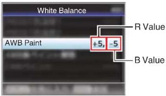 White Balance AWB Paint +5, -5 R Value B Value
