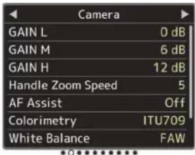 Camera GAIN L 0 dB GAIN M 6 dB GAIN H 12 dB Handle Zoom Speed 5 AF Assist Off Colorimetry ITU709 White Balance FAW