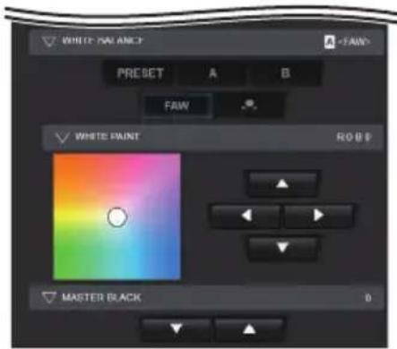 WHITE NAV ANCF A PREBET A B FAW WHITE PAINT ROBB MASTER BLACK 0