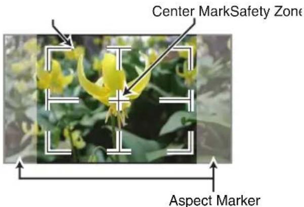 Center MarkSafety Zone Aspect Marker