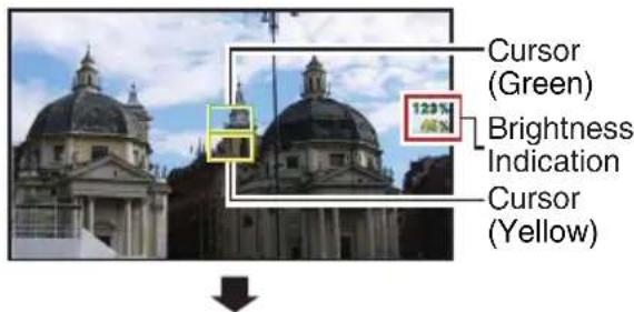 Cursor (Green) Brightness Indication Cursor (Yellow)