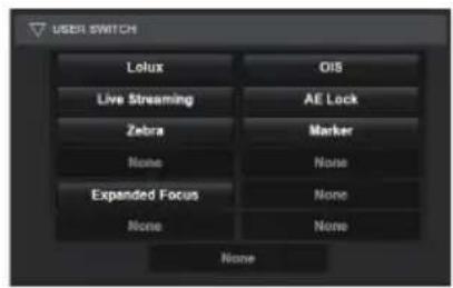 USER SWITCH Lolux OIS Live Streaming AE Lock Zebra Marker None Noise Expanded Focus None None None