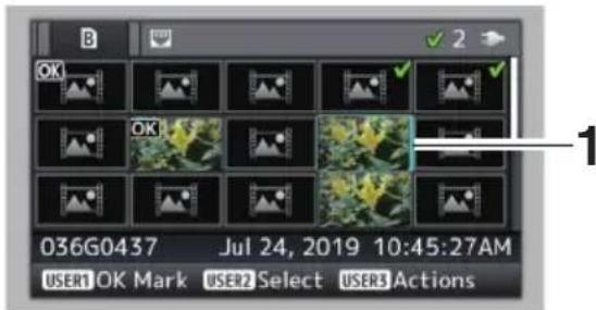 036G0437 Jul 24, 2019 10:45:27AM USER1 OK Mark USER2 Select USER3 Actions