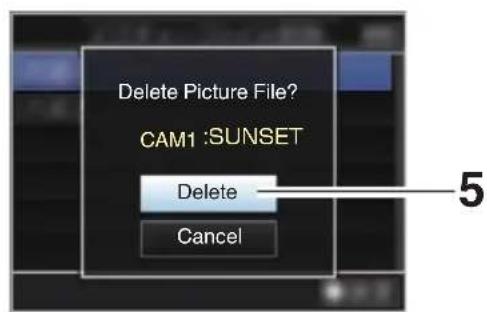 Delete Picture File? CAM1 : SUNSET Delete Cancel