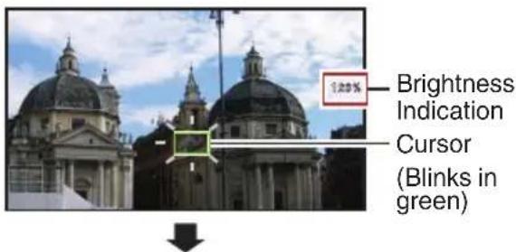 100% Brightness Indication Cursor (Blinks in green)