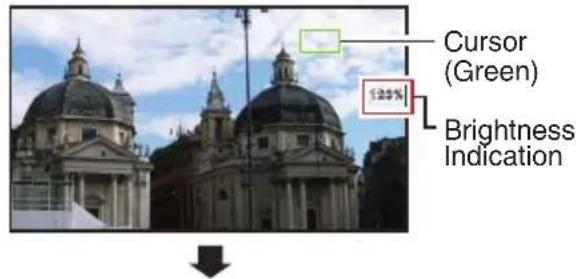 Cursor (Green) 120% Brightness Indication