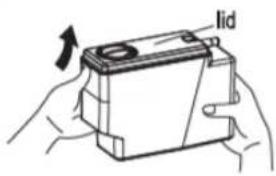 lid