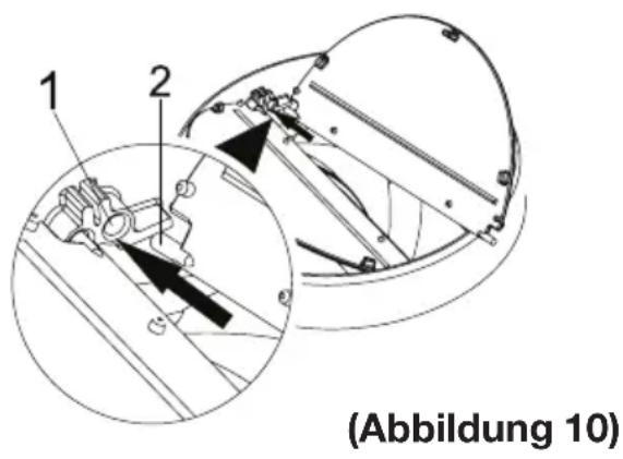 (Abbildung 10)