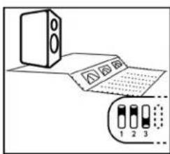 Diagram showing a speaker setup with labeled parts and a magnified view of three labeled components.